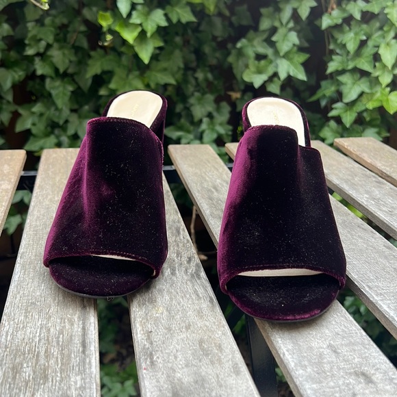 velvet dark purple ann taylor mules, size 9 - Picture 2 of 7
